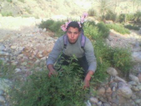 ilyas